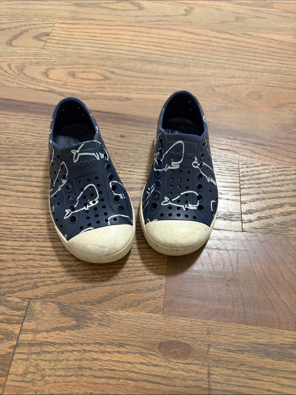 Native whale shoes toddler size 8 play condition